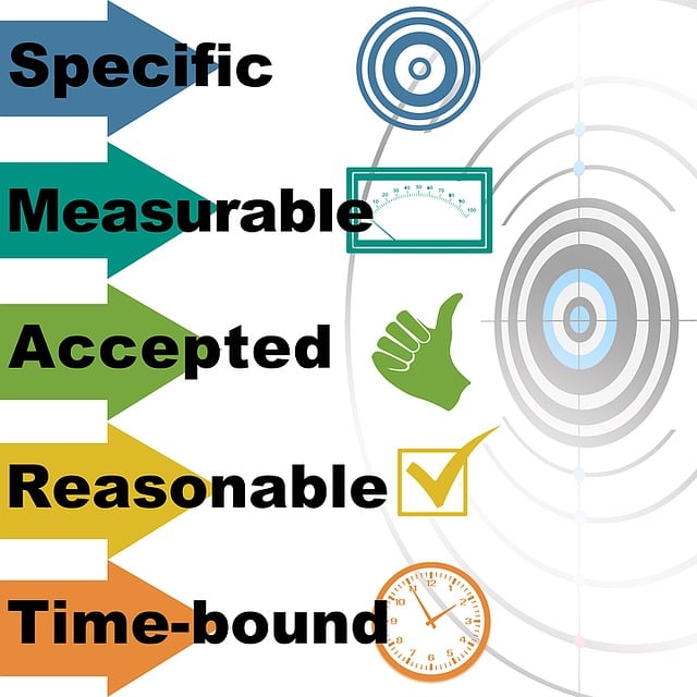 Cash Management and Treasury Reports