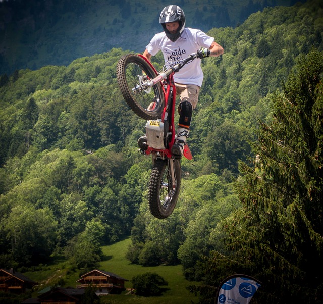 Clinical Trial Reports