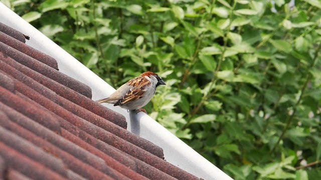 Clinical Trial Reports