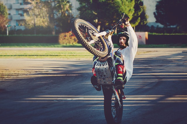 Clinical Trial Reports