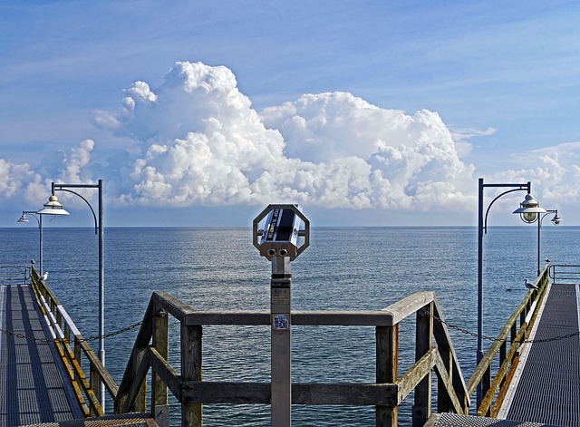 Clinical Trial Reports