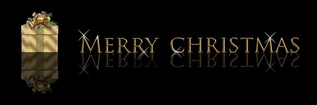 Corporate Bylaws and Articles of Incorporation