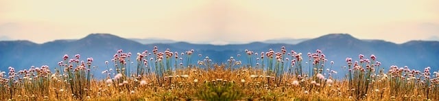 Corporate Bylaws and Articles of Incorporation