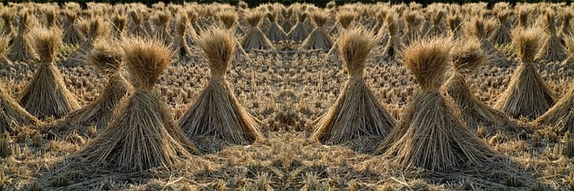 Corporate Bylaws and Articles of Incorporation