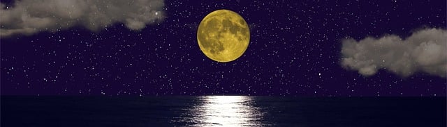 Corporate Bylaws and Articles of Incorporation