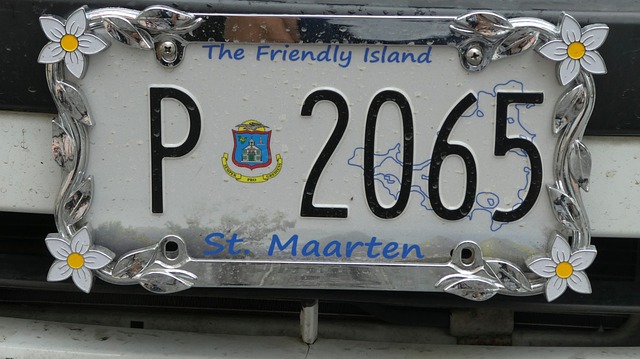 driving license