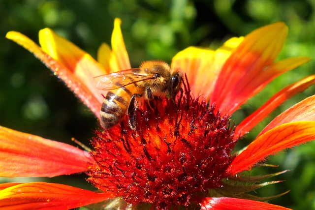 Due Diligence Reports