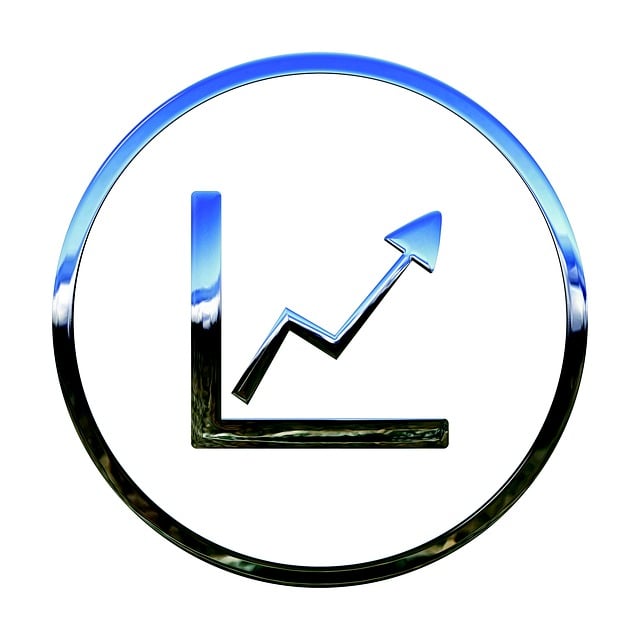 Due Diligence Reports