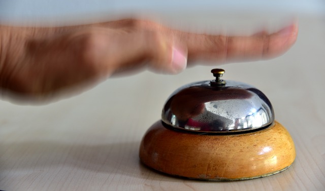 Due Diligence Reports