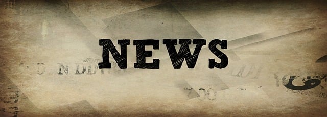 Due Diligence Reports