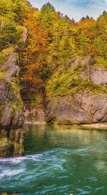 Due Diligence Reports