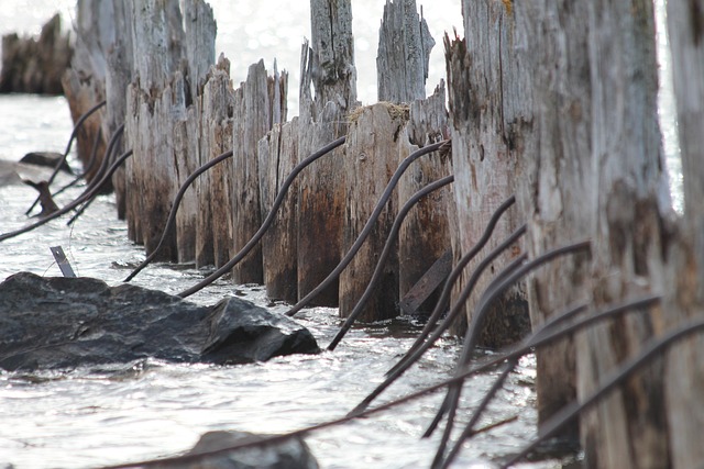 Due Diligence Reports