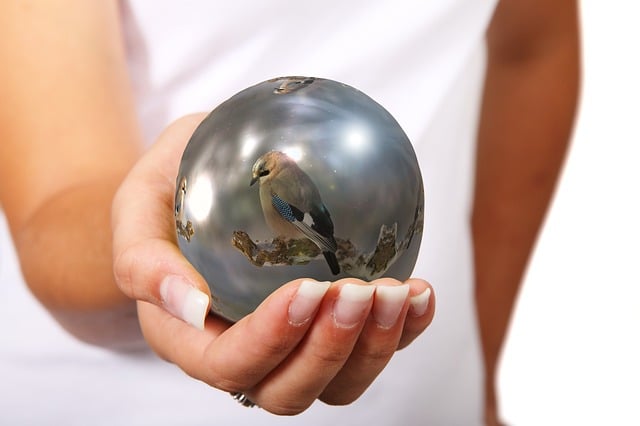 Environmental and Social Responsibility Reports