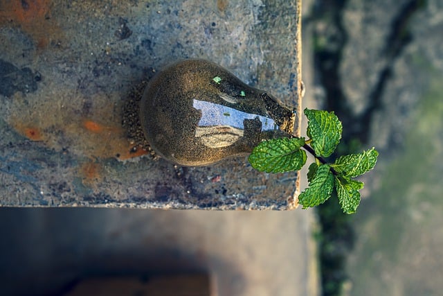 Environmental and Social Responsibility Reports