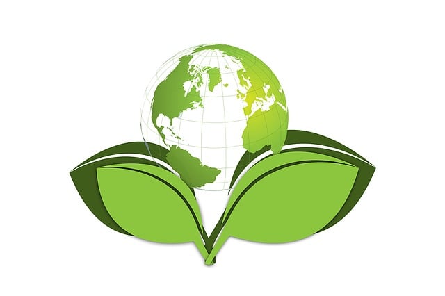 Environmental and Social Responsibility Reports