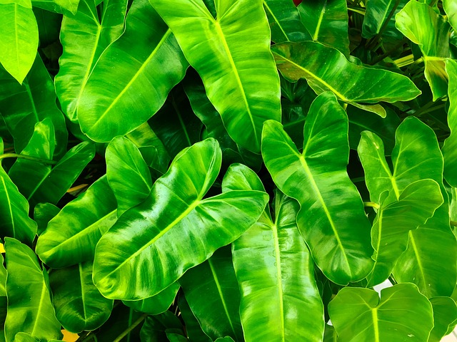 Environmental Compliance Documents