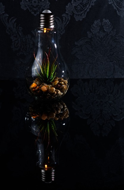 Environmental Compliance Documents