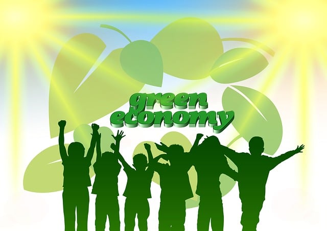 Environmental Impact Assessments