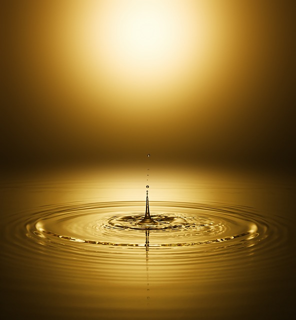 Environmental Impact Assessments