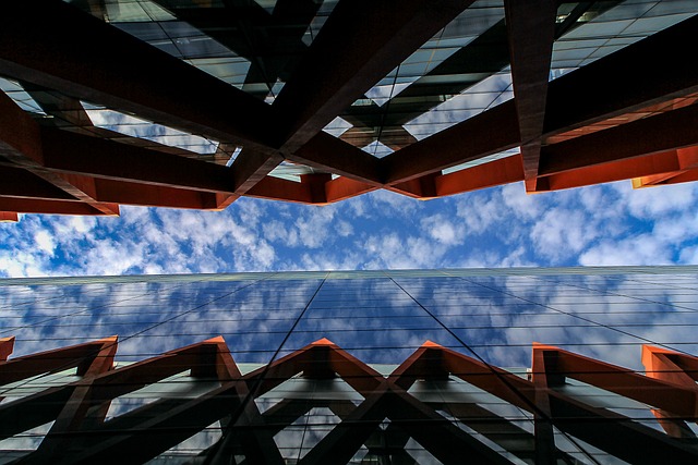 Financial Audit Reports