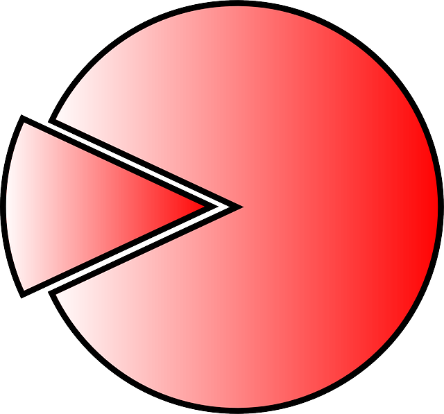 Financial Audit Reports