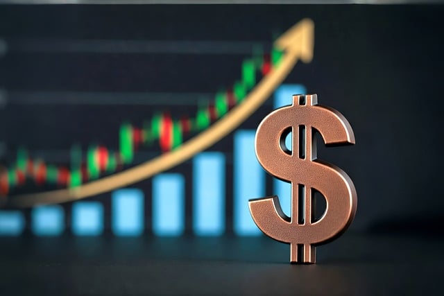 Financial Audit Reports