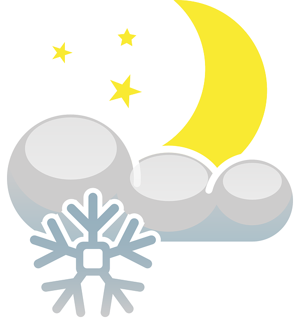 Financial Forecasts and Projections