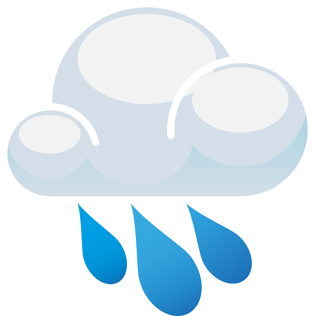 Financial Forecasts and Projections