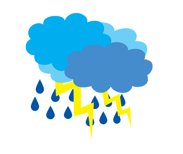 Financial Forecasts and Projections