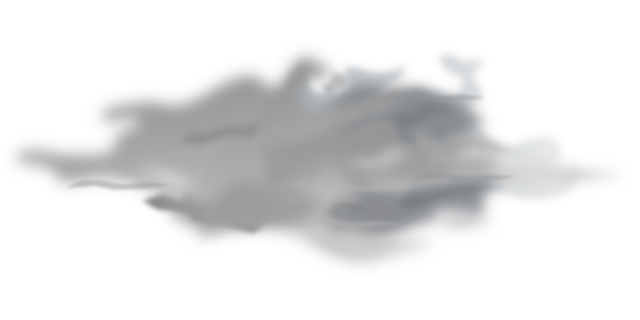 Financial Forecasts and Projections