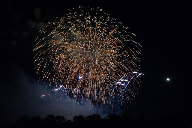 Financial Statements