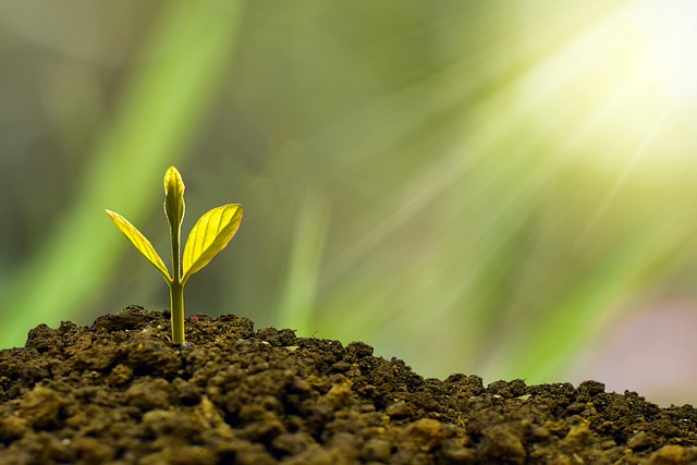 Navigating Global Markets: The Essence of UK Financial Statement Translation for Investors