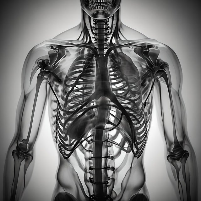 Healthcare Insurance Forms