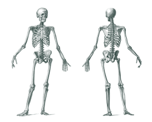 human-resources-documents-640x480-67356146.png