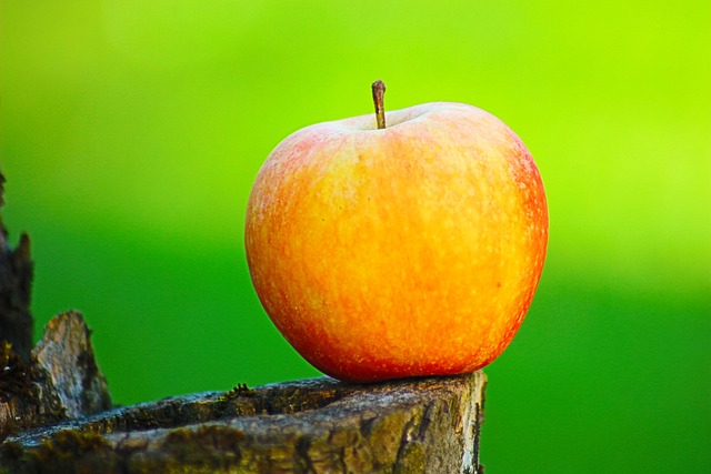 Informed Consent Forms