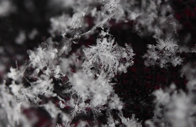 Informed Consent Forms