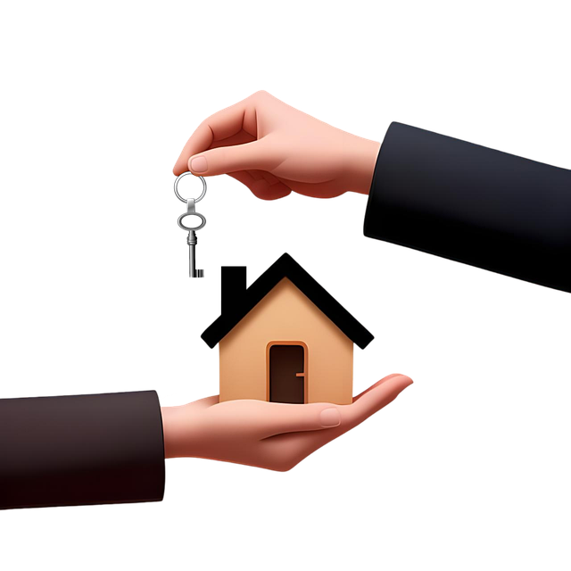 Intellectual Property