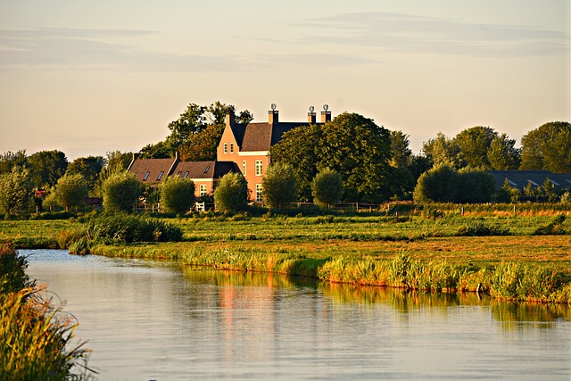 Intellectual Property