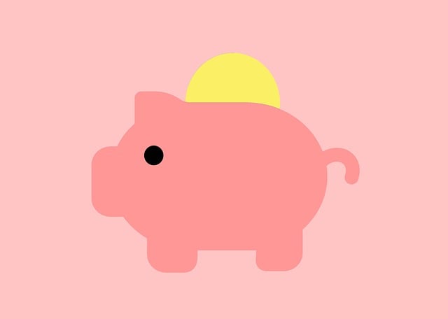 Internal Financial Policies and Procedures