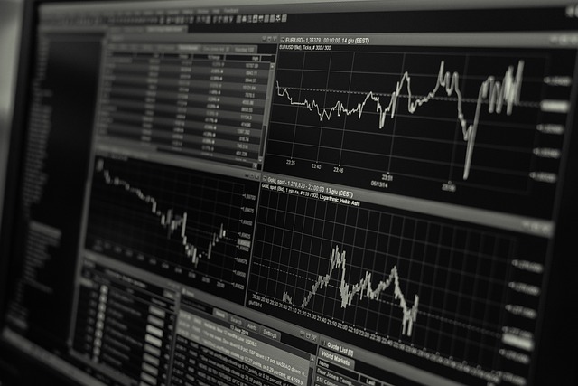 Internal Financial Policies and Procedures