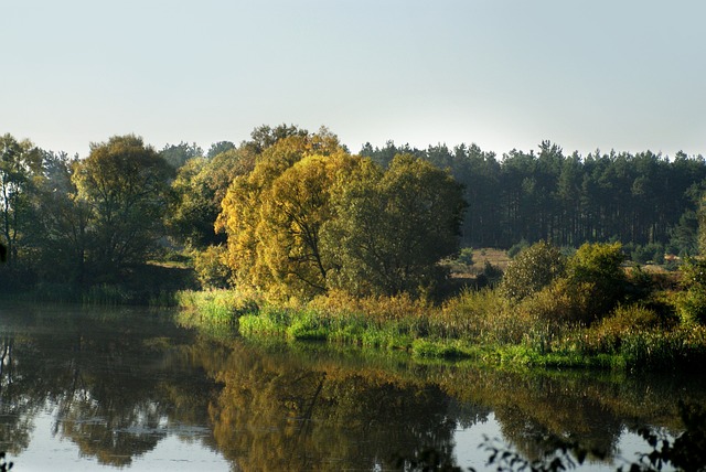 Licenses and Permits