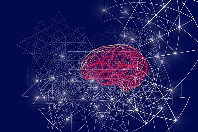 Machine Specifications and Descriptions