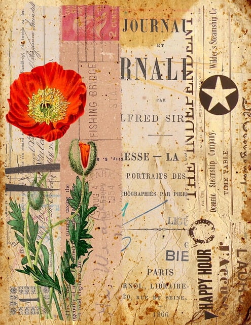 Medical Journals and Articles