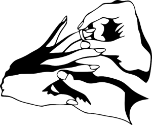 npressfetimg-104.png