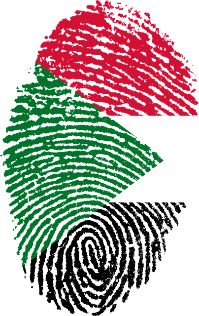 npressfetimg-115.png