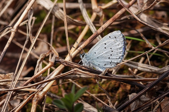 Patents and Patent Applications