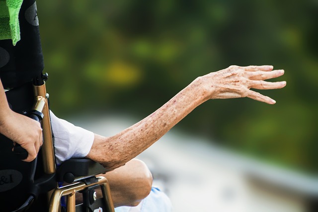 Bridging Language Gaps: The Role of Translation Services in Enhancing UK Patient Discharge Care
