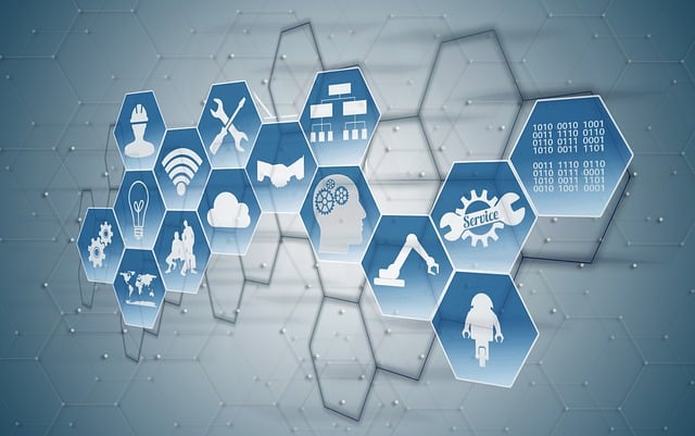 Patient Information Leaflets (PILs)