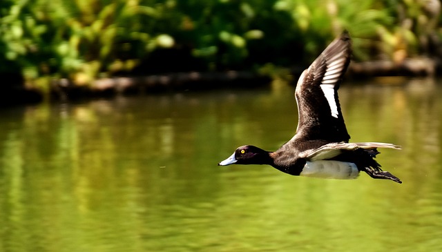 Pension Fund Documentation