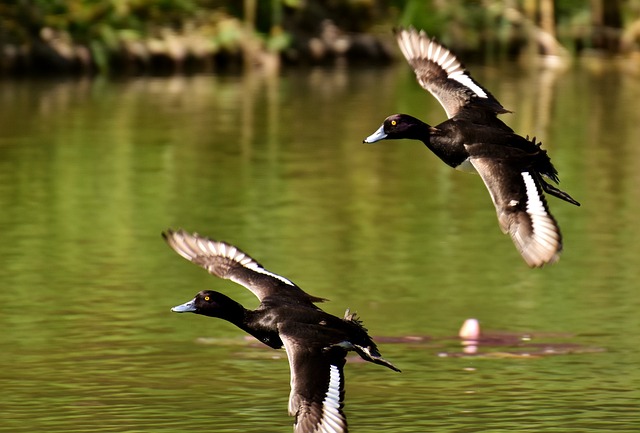 Pension Fund Documentation